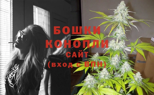 СК Белокуриха