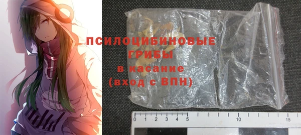 PSILOCYBIN Богородск